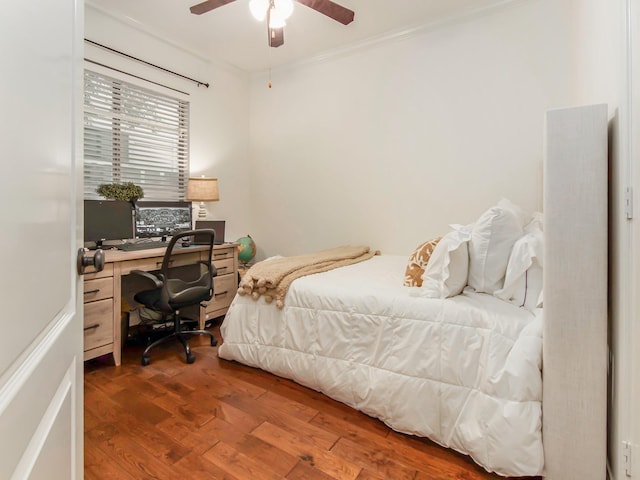 4133 Dickson St, Houston, TX 77007 - photo 13