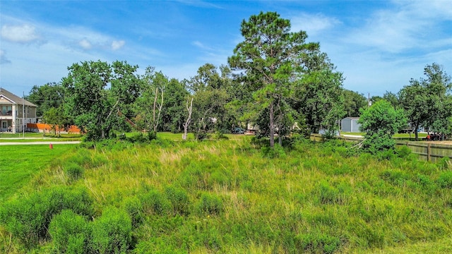 TBD Scott St, Liverpool, TX 77577 - photo 10