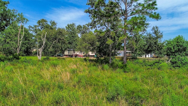 TBD Scott St, Liverpool, TX 77577 - photo 11