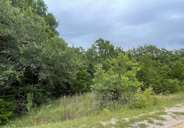 737 Lcr 862, Donie, TX 75838 - photo 6