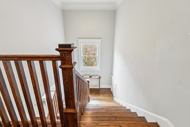 736 E 7th 1/2 St, Houston, TX 77007 - photo 18