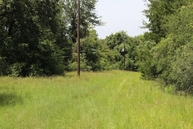1306 County Road 3455a, Lovelady, TX 75851 - photo 24