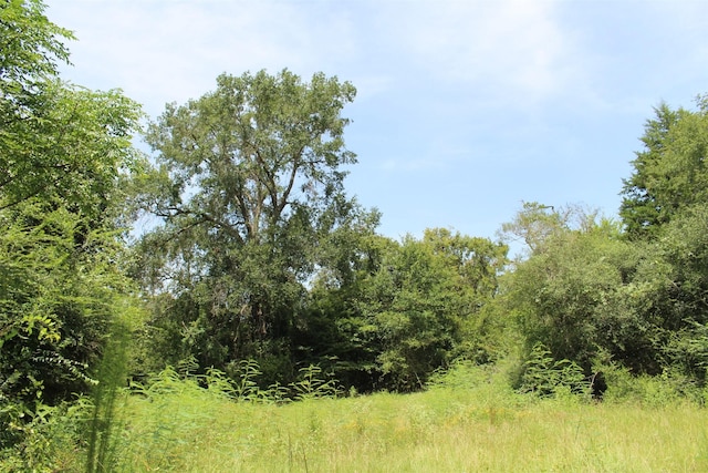 1306 County Road 3455a, Lovelady, TX 75851 - photo 27