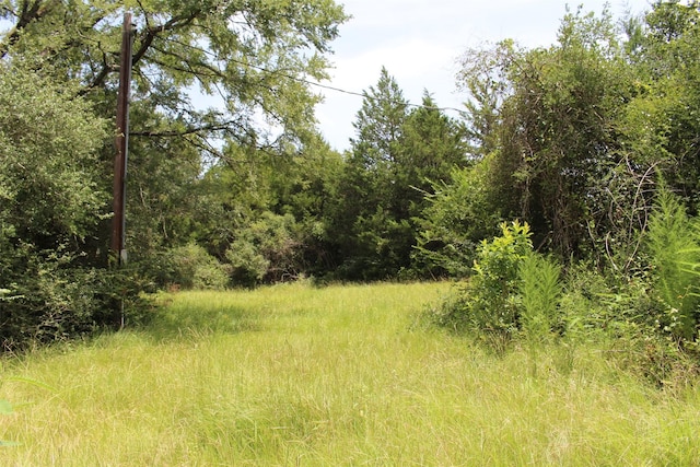 1306 County Road 3455a, Lovelady, TX 75851 - photo 28