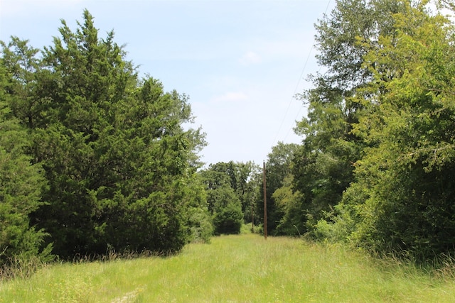 1306 County Road 3455a, Lovelady, TX 75851 - photo 30