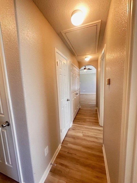 16409 Danika Oak Dr, Conroe, TX 77306 - photo 17