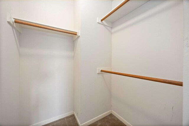 7907 Beech Park Ln, Houston, TX 77083 - photo 21