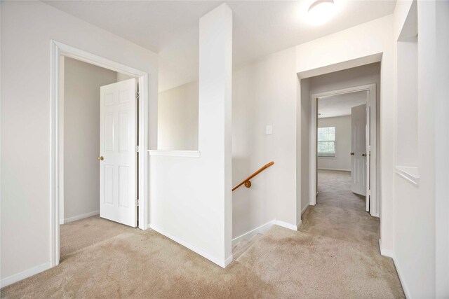 7907 Beech Park Ln, Houston, TX 77083 - photo 10