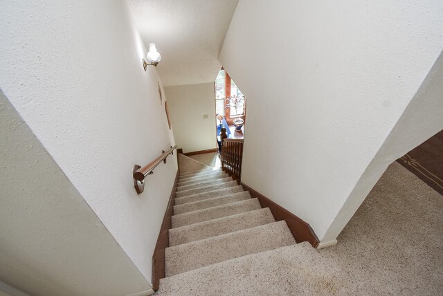 1610 Chapelwood Ln, Richmond, TX 77406 - photo 30