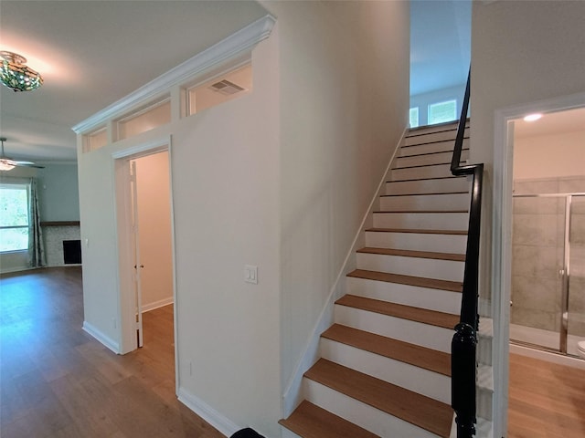 23509 Red Juniper Ln, New Caney, TX 77357 - photo 6