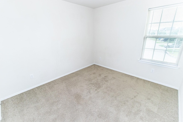 13143 Montane Manor Ln, Houston, TX 77044 - photo 17