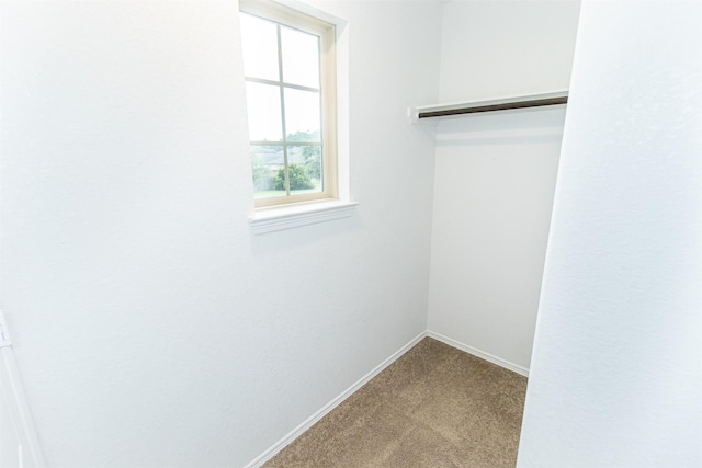13143 Montane Manor Ln, Houston, TX 77044 - photo 19