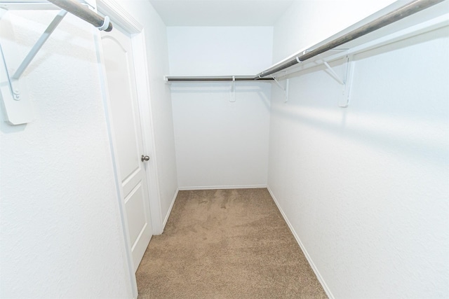 13143 Montane Manor Ln, Houston, TX 77044 - photo 21
