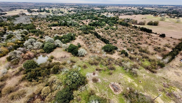750 Christmas Rd, Brenham, TX 77833 - photo 1