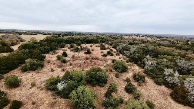 750 Christmas Rd, Brenham, TX 77833 - photo 6