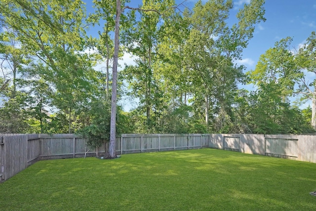 18788 Laurel Hills Dr, New Caney, TX 77357 - photo 22