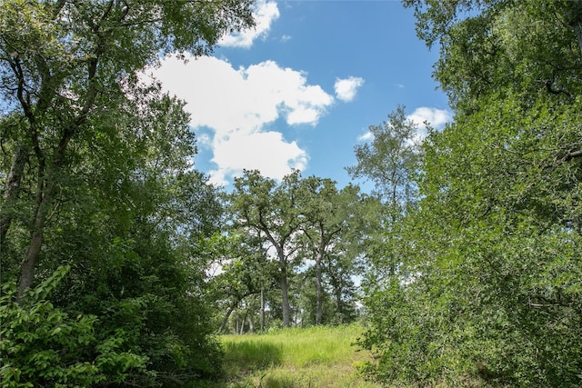 TBD Fm 594, Burton, TX 77835 - photo 1