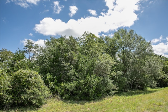 TBD Fm 594, Burton, TX 77835 - photo 2
