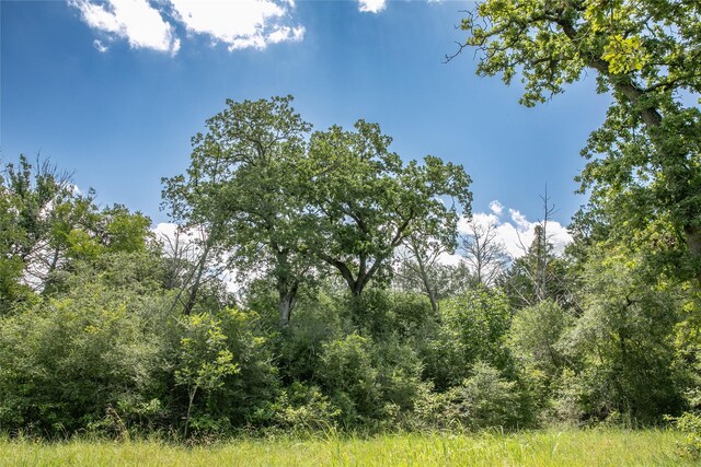 TBD Fm 594, Burton, TX 77835 - photo 3