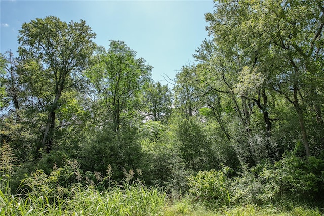 TBD Fm 594, Burton, TX 77835 - photo 4