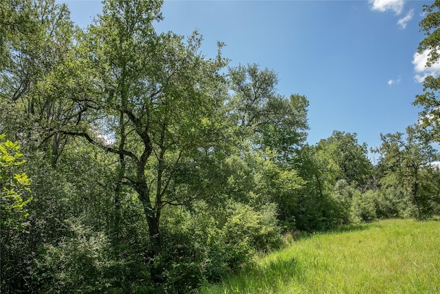 TBD Fm 594, Burton, TX 77835 - photo 6