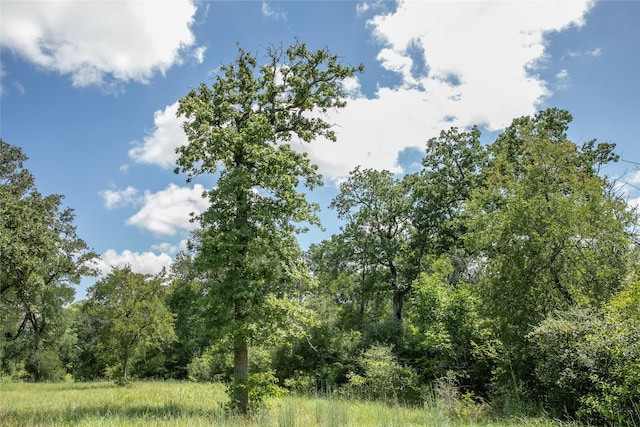 TBD Fm 594, Burton, TX 77835 - photo 7