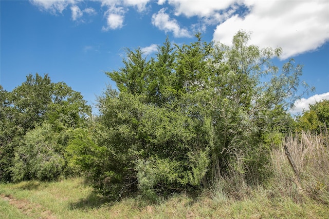 TBD Fm 594, Burton, TX 77835 - photo 8