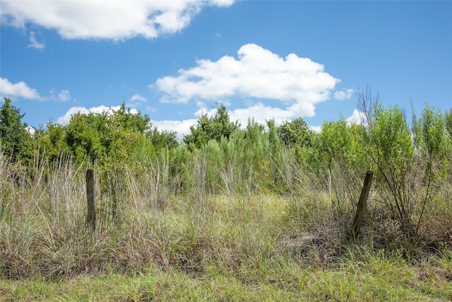 TBD Fm 594, Burton, TX 77835 - photo 9