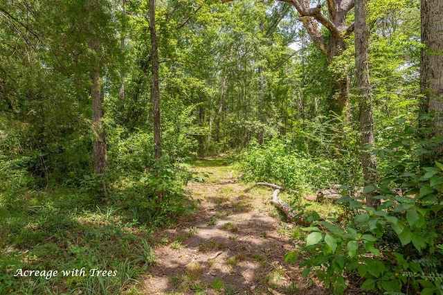 1982 Fm 1819, Pollok, TX 75969 - photo 46