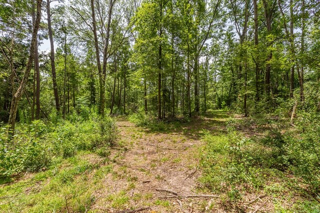 1982 Fm 1819, Pollok, TX 75969 - photo 48
