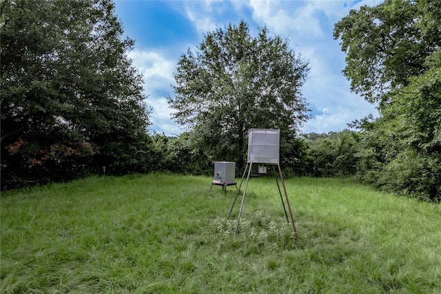 TBD County Rd 3495, Weldon, TX 75851 - photo 6