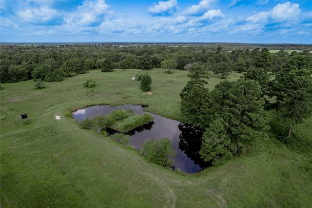 TBD County Rd 3495, Weldon, TX 75851 - photo 2