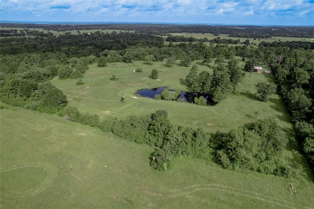 TBD County Rd 3495, Weldon, TX 75851 - photo 10