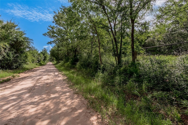 TBD County Rd 3495, Weldon, TX 75851 - photo 4