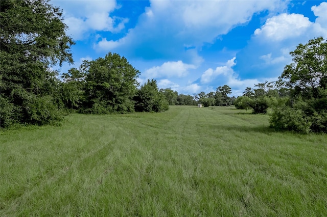TBD County Rd 3495, Weldon, TX 75851 - photo 17