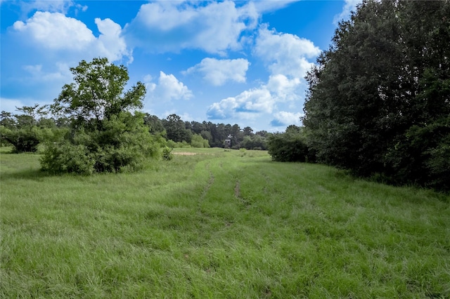TBD County Rd 3495, Weldon, TX 75851 - photo 18