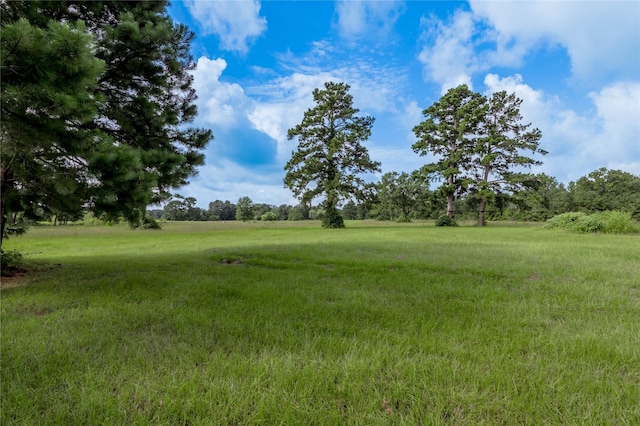 TBD County Rd 3495, Weldon, TX 75851 - photo 19
