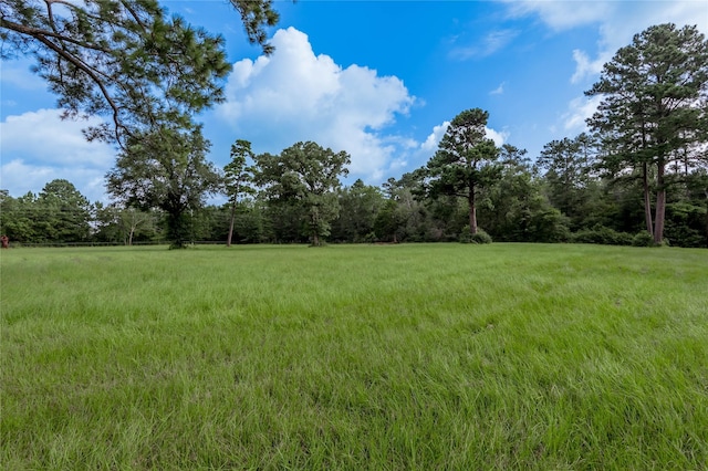 TBD County Rd 3495, Weldon, TX 75851 - photo 20