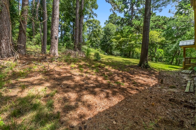 480 Caney Creek Dr, Livingston, TX 77351 - photo 30