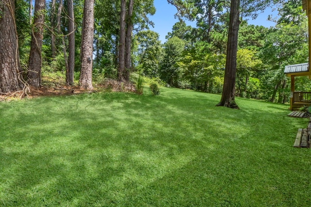 480 Caney Creek Dr, Livingston, TX 77351 - photo 32