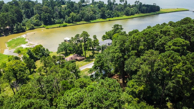 480 Caney Creek Dr, Livingston, TX 77351 - photo 38
