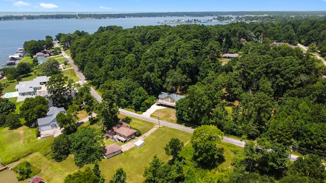 480 Caney Creek Dr, Livingston, TX 77351 - photo 43