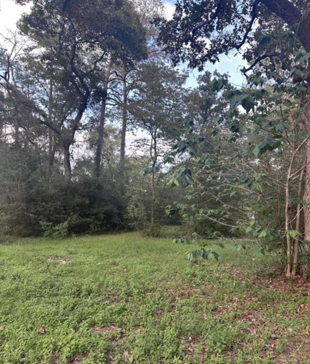 19265 Alford Rd, Magnolia, TX 77355 - photo 4