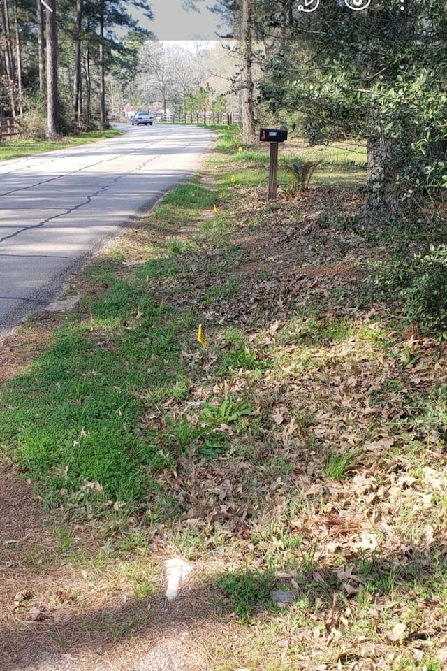 19265 Alford Rd, Magnolia, TX 77355 - photo 8