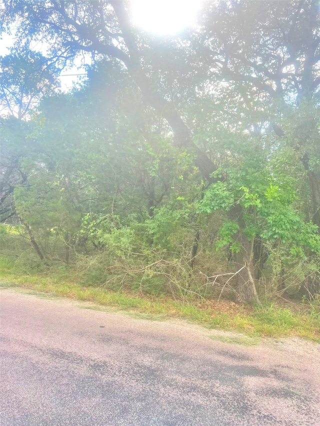5425 Bay Dr, Temple, TX 76502 - photo 4
