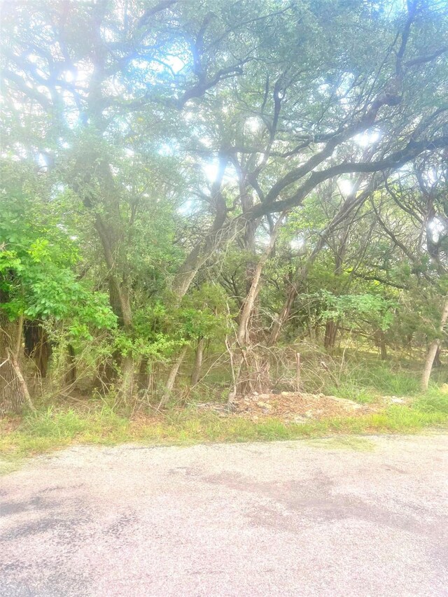 5425 Bay Dr, Temple, TX 76502 - photo 5
