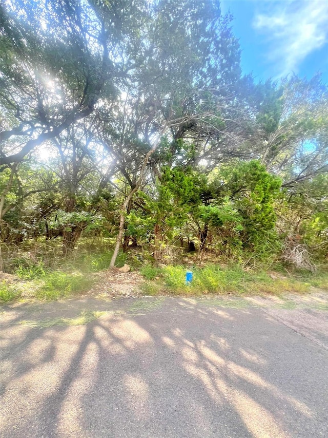 5425 Bay Dr, Temple, TX 76502 - photo 2