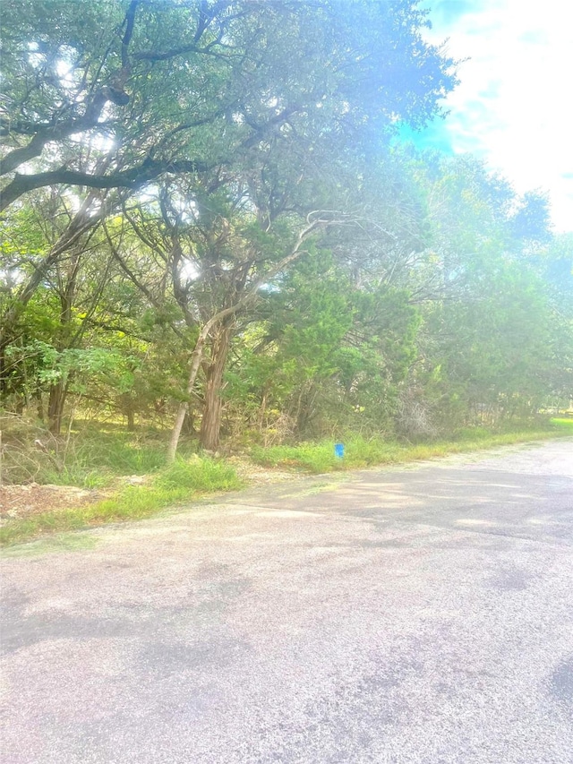 5425 Bay Dr, Temple, TX 76502 - photo 6