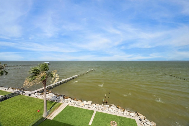 1610 Todville Rd, Seabrook, TX 77586 - photo 22
