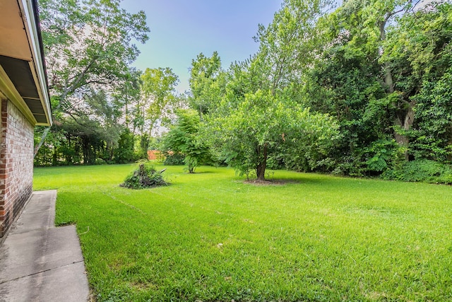 12303 Maxim Dr, Houston, TX 77065 - photo 27